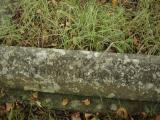 image of grave number 949579